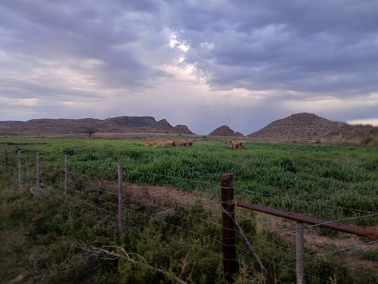 Waarom Ons Roumelk Gebruik
