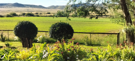Boesmanspoort: Life on Our Karoo Farm