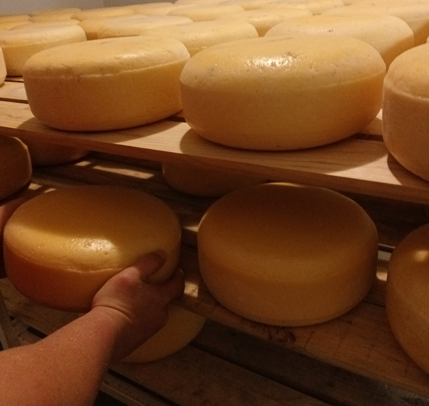 Boerenkaas Gemengde Boks 10Kg